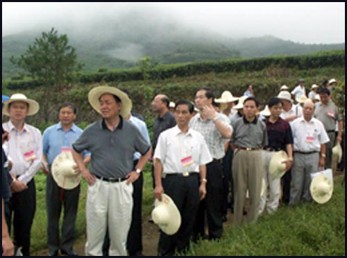 yuanlin2.jpg