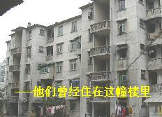 xiamenxinju3.jpg
