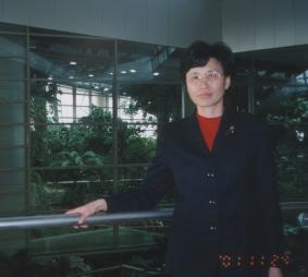 dingzhijian.JPG