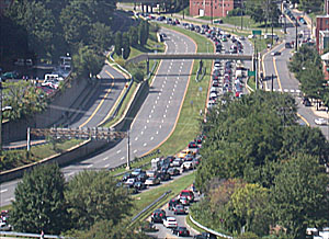 pic16.jpg