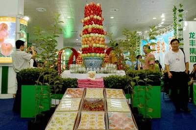 05.jpg