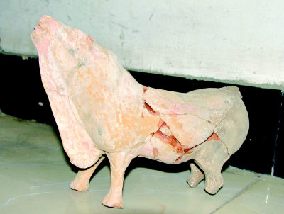 pic3.jpg
