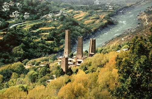 pic2.jpg
