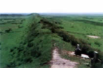 ysd2.jpg