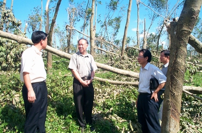 guangdongshicha.jpg