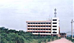 yz2.jpg