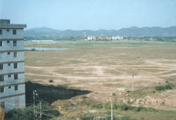 yz3.jpg