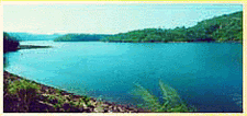 01.gif