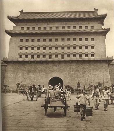 pic2.jpg