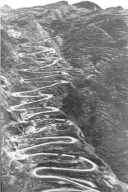 krtu81.jpg