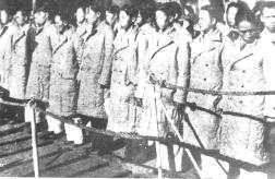 krtu104.jpg