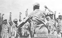 krtu113.jpg