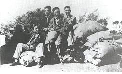 krtu147.jpg