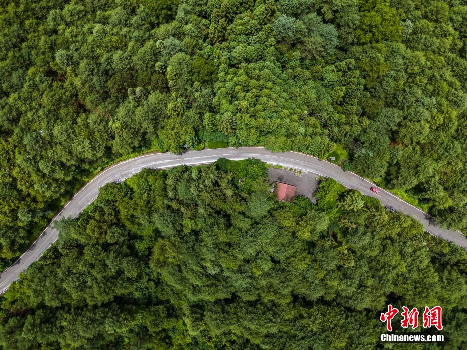 貴州畢節(jié)：航拍拱攏坪林海 景色怡人