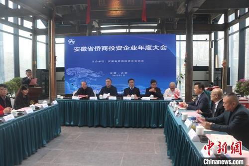 中國僑網