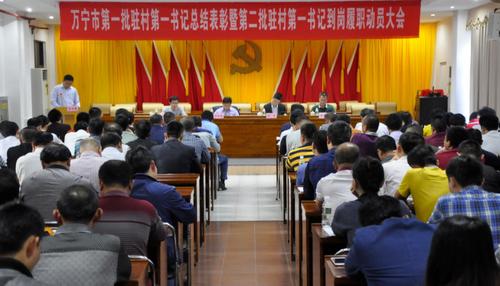 中國僑網
