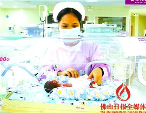 中國僑網(wǎng)護士正在照顧出生體重只有600克的女嬰。 佛山日報記者駱蘇艷 通訊員盧敏攝