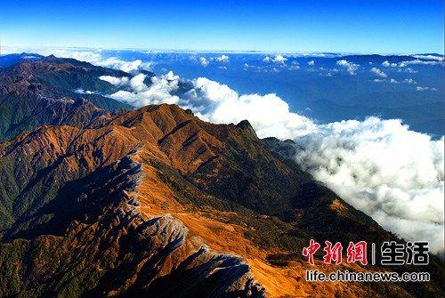 中國僑網(wǎng)
