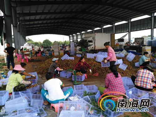 中國(guó)僑網(wǎng)工人們?cè)诖虬笾Α#虾>W(wǎng)圖片)