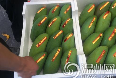 中國(guó)僑網(wǎng)