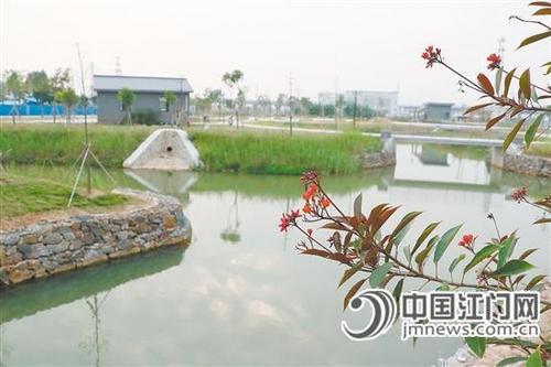 中國僑網(wǎng)小海河濕地公園為周邊環(huán)境增色添彩。