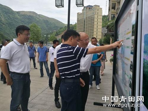 中國僑網
