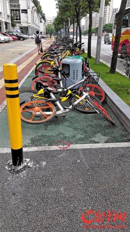 中國僑網(wǎng)兆祥路上的自行車道