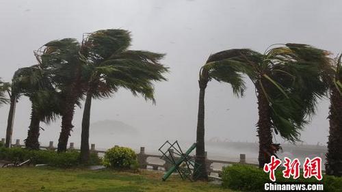 中國僑網(wǎng)臺(tái)風(fēng)來襲,珠海迎狂風(fēng)暴雨 鄧媛雯 攝