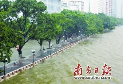 中國(guó)僑網(wǎng)廣州珠江河水幾乎漫過海珠廣場(chǎng)的堤岸。南方日?qǐng)?bào)記者 吳偉洪 攝