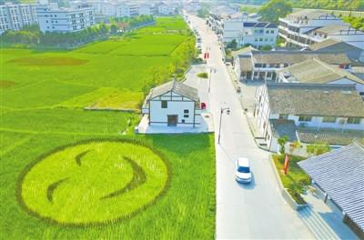 中國(guó)僑網(wǎng)