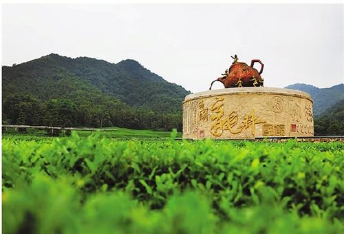 中國僑網(wǎng)