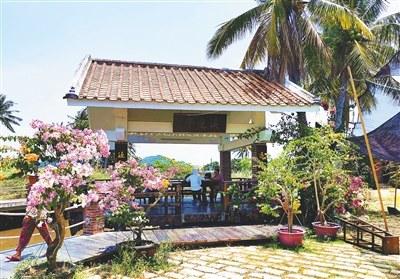 中國(guó)僑網(wǎng) 5月20日,溪邊村三角梅花開正艷,吸引游客前來(lái)賞花品咖啡。 海南日?qǐng)?bào)記者 袁宇 攝
