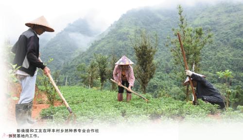 中國僑網(wǎng)