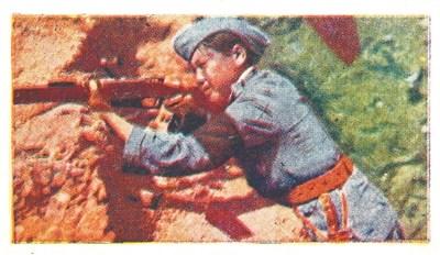 中國僑網(wǎng)煙畫“馮庸大學(xué)女子義勇軍龍文彬”