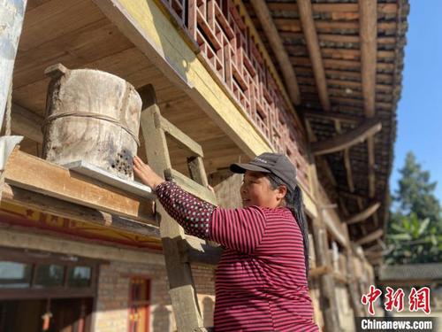 中國(guó)僑網(wǎng)圖為脫貧戶何遠(yuǎn)芝正在打理自己所養(yǎng)殖的蜜蜂?!「邊纹G杏 攝