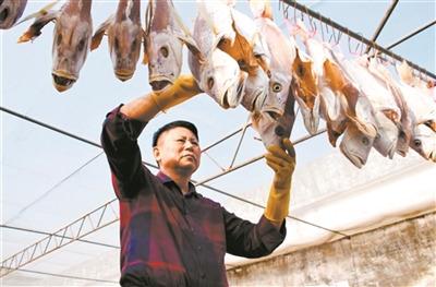 中國僑網林錦勝在曬咸魚。