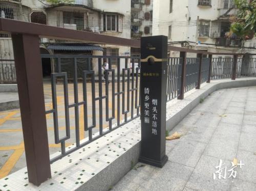 中國僑網