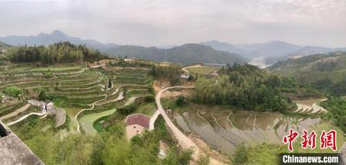 中國(guó)僑網(wǎng)浙江青田石溪鄉(xiāng)黃山壟村 曾子平供圖