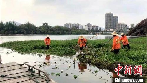 中國僑網(wǎng)“清漂”行動現(xiàn)場。(資料圖) 廣東省河長辦供圖