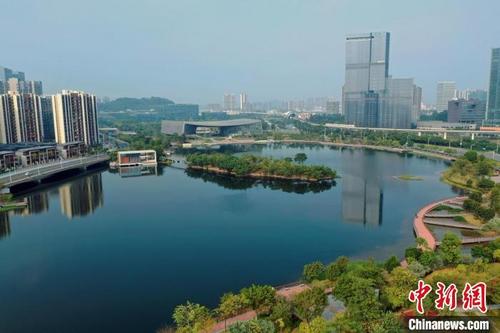 中國僑網(wǎng)廣州南沙(資料圖) 南沙區(qū)政府 供圖