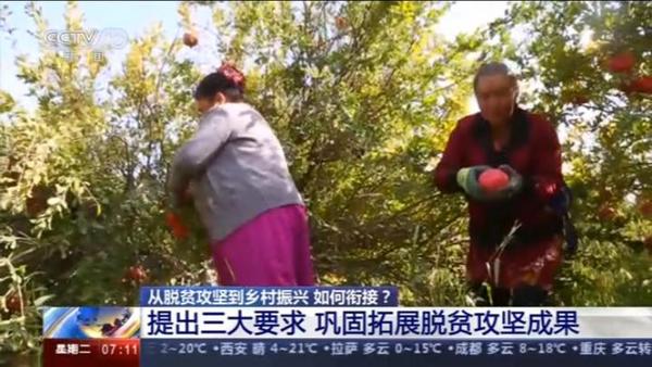 從脫貧攻堅到鄉(xiāng)村振興 如何銜接？