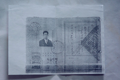 中國僑網