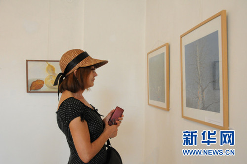 羅馬尼亞市民在阿爾巴尤里亞舉辦的中國銀川美術(shù)作品展上欣賞中國畫家作品。(陳進(jìn)