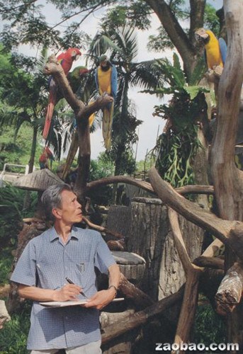 中國畫家吳冠中于1990年在新加坡飛禽公園寫生。(新加坡《聯(lián)合早報(bào)》資料圖)