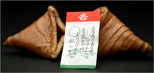 (美國(guó)《紐約時(shí)報(bào)》網(wǎng)站)