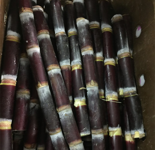 中國僑網(wǎng)甘蔗等特殊商品是“Weee!”的強(qiáng)項之一。(美國《世界日報》/李榮 攝)