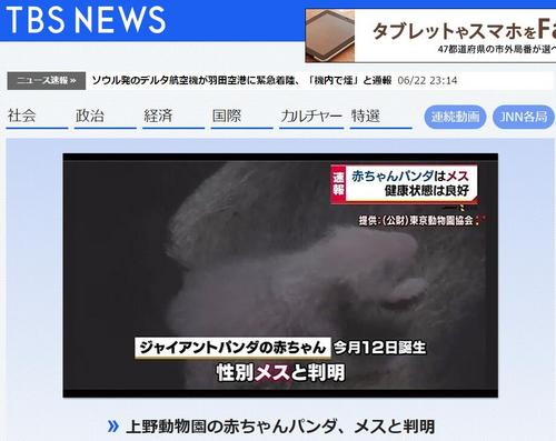 中國(guó)僑網(wǎng)日本新聞網(wǎng)站在頭條報(bào)道大熊貓幼崽為雌性的消息
