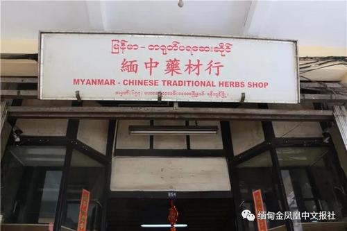 中國僑網緬中藥材行 (緬甸金鳳凰中文報微信公眾號)
